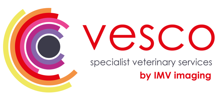 1 Logo with strapline_by imv-1 1 Logo with strapline_by imv-1
