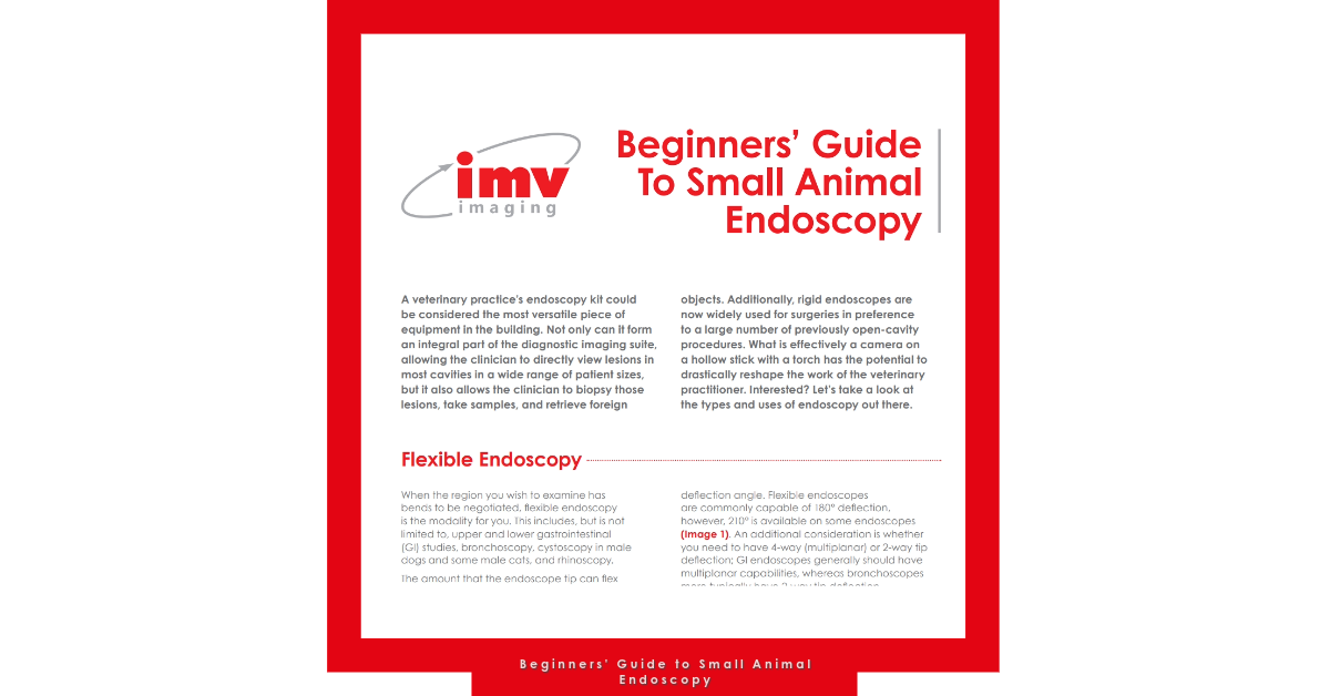 Beginners Guide to Small Animal Endoscopy-1