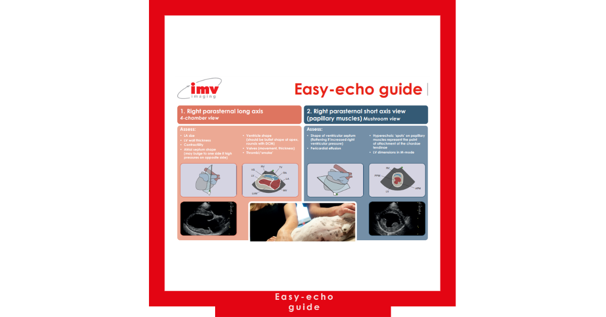 Easy-echo guide