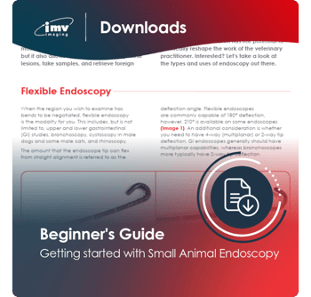 Endoscopy Downloads Website Templates-9-Beginners’ Guide To Small Animal Endoscopy (1)