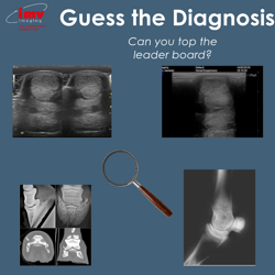Guess the diagnosis Guess the diagnosis