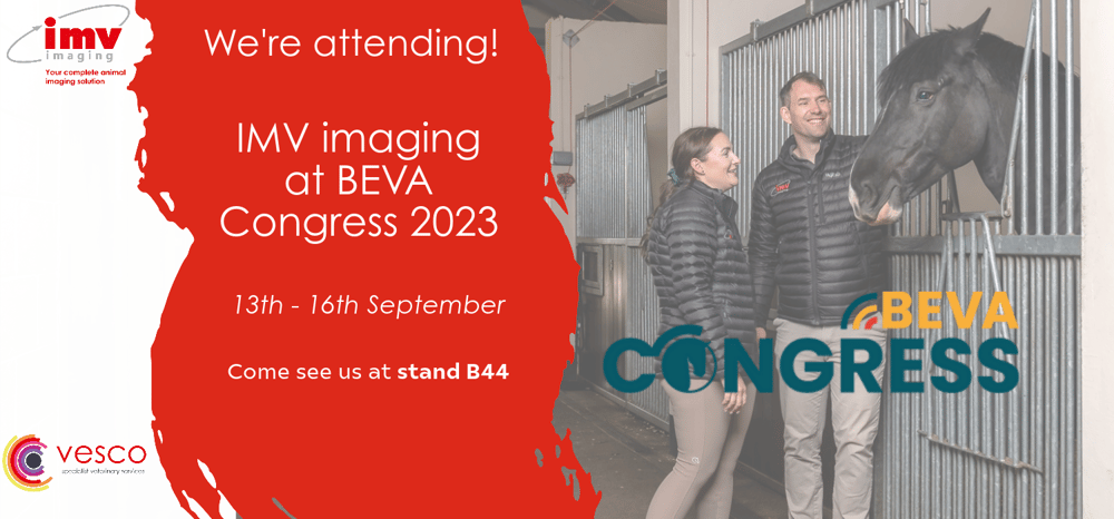 IMV attending BEVA 2023