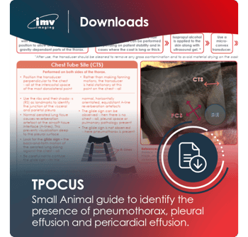 Small Animal Downloads Website Templates-23-TPOCUS Small Animal Downloads Website Templates-23-TPOCUS