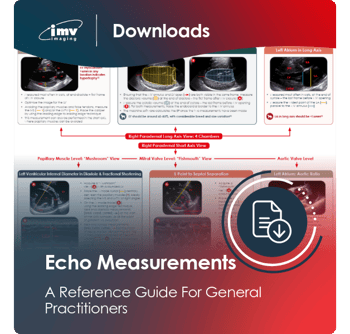 Small Animal Downloads Website Templates-7-Echo Measurements-1 Small Animal Downloads Website Templates-7-Echo Measurements-1