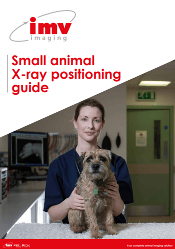 Xray positioning guide screenshot