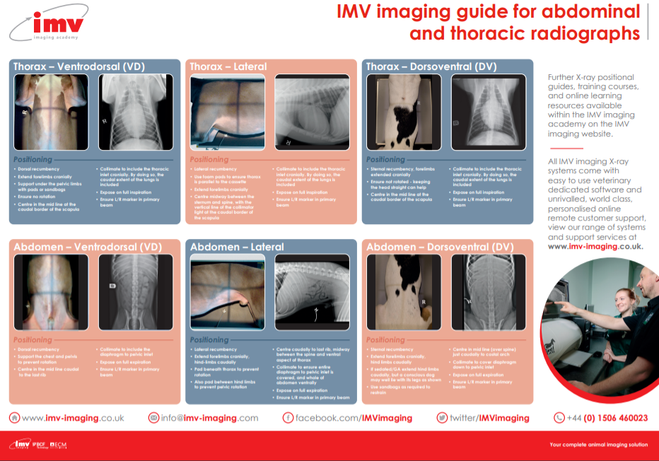 abdothoracicposter