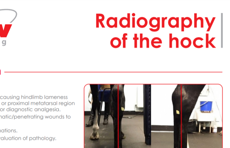 radiographyofhock-1